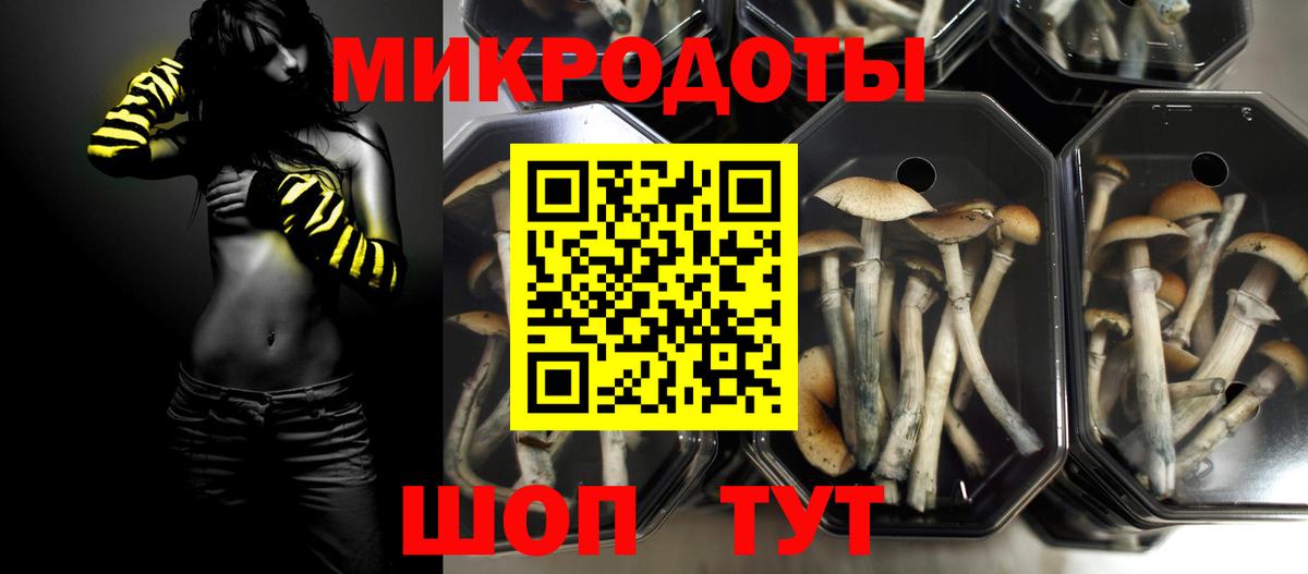 купить закладку  Вход с VPN  Когалым  Псилоцибиновые грибы прущие грибы 